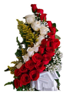 Arreglo de 30 rosas rojas y blancas