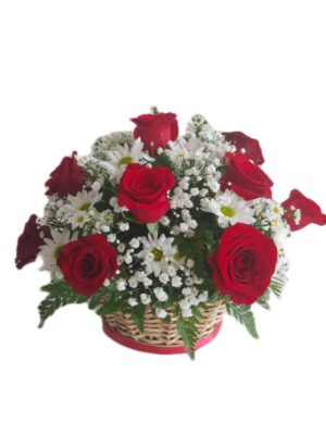 Arreglo de 12 rosas rojas compacto