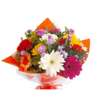 Bouquet de 24 gerberas