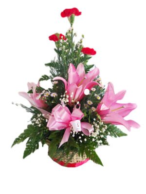 Arreglo de 6 lirios y claveles